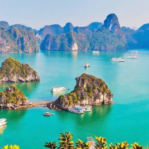 Ambassador Cruise | Halong Bay