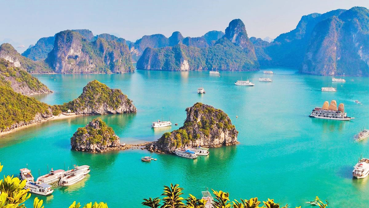 Ambassador Cruise | Halong Bay